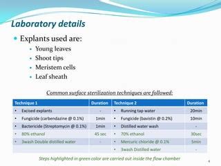 Case Study Report On Sugarcane Ppt