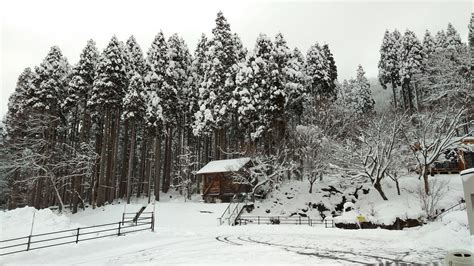 [OC] A Nagano winter : r/japanpics