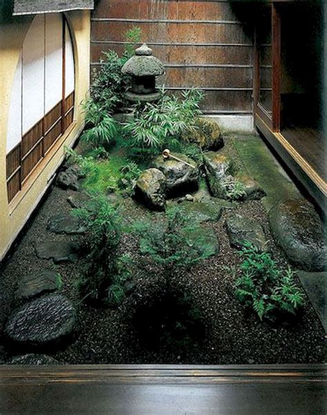 Indoor Zen Garden Plants