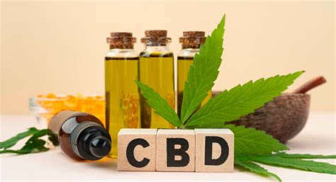 Aceite de CBD vs Cápsulas de CBD Cuál es la mejor opción CeNews