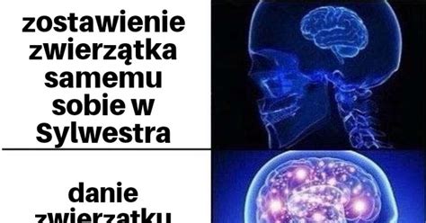 Kt Ry Dzisiaj Jest