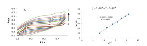 A Cyclic Voltammograms Of Mip Modified Gc Electrodes In 01 M Kcl