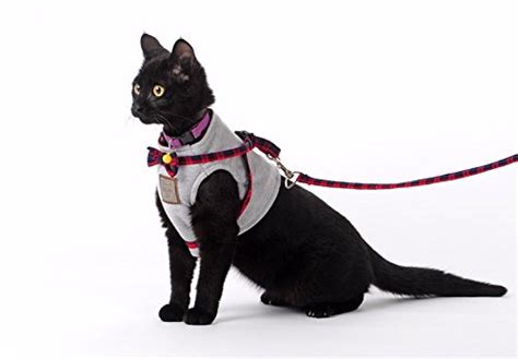 10 Best Cat Harness [dec 2020] Cat Travel Guide