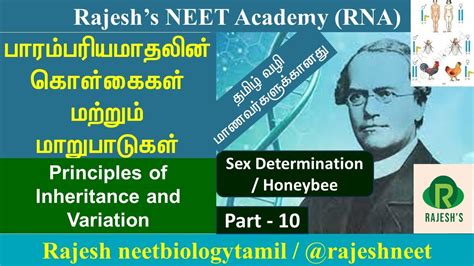 Principles Of Inheritance And Variation Part Sex Determination