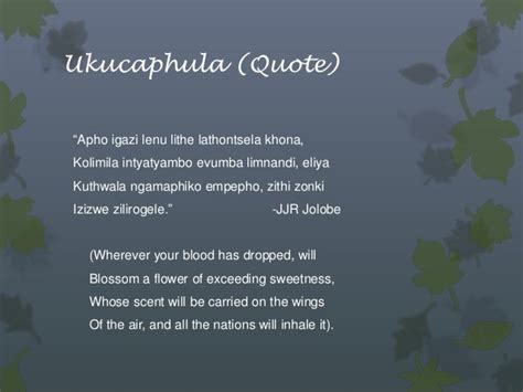 Quotes About Xhosa Culture