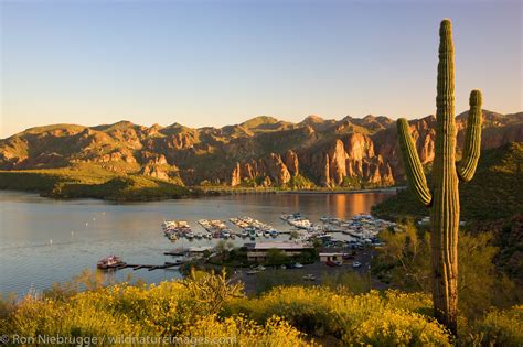 Saguaro Lake | Photos by Ron Niebrugge