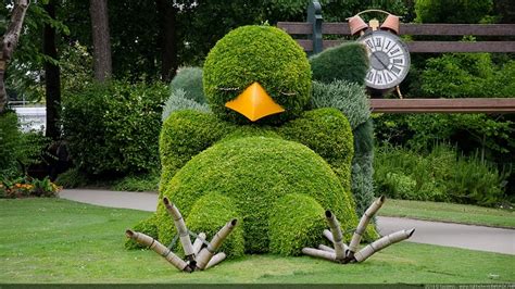 Art of Gardening: Sleeping Bird Topiary | Home Design, Garden ...