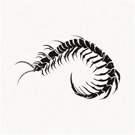 Premium Vector Detailed Centipede Vector Illustration