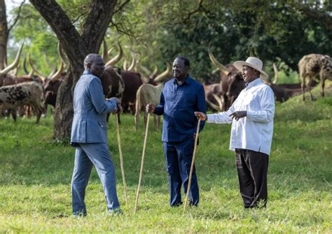 Raila Reveals Details Of Meeting With Museveni And Ruto