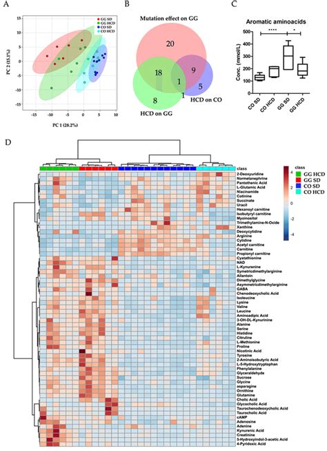 Targeted Plasma Metabolomics Analysis Of Bcs1l Gg Mice On Standard And Download Scientific