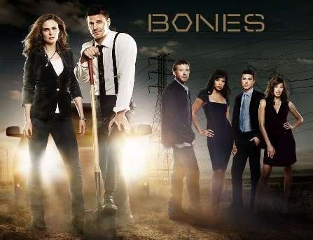 bones wallpaper bones walls