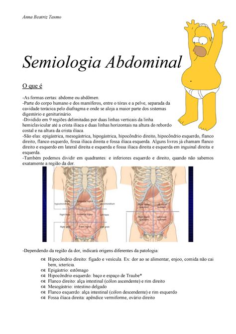 Semiologia Abdominal Resumo Pratica Medica Warning TT Undefined