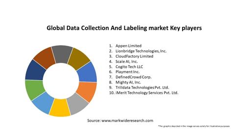 Global Data Collection And Labeling Market Size Share Growth