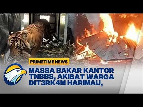 Warga Dit3rk4m Harimau Massa Bakar Kantor TNBBS YouTube