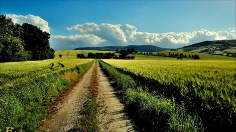 Wallpaper Sunlight Landscape Hill Nature Sky Yellow Morning