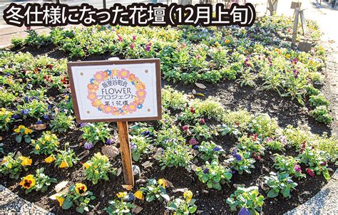 多摩区のご近所活動 Vol 6 花壇づくりは絆づくり 町内会・自治会の「環境美化｣ 多摩区・麻生区 タウンニュース