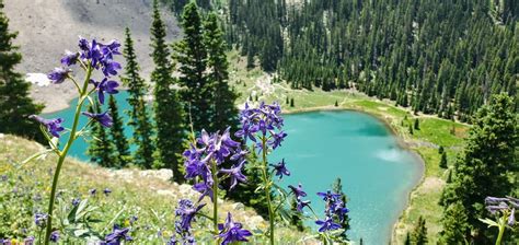 Ice Lake & Island Lake Colorado: The Complete Trail Guide