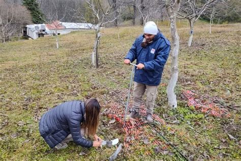 Los Suelos De La Argentina Almacenan El 2 De La Reserva Mundial De