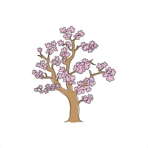 Cherry Blossom Tree Drawing Step By Step