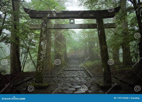 Japanese Torii Shinto Shrine Gate In The Forest Nikko Japan Stock