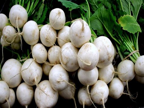 20 Different Types Of Turnip With Images