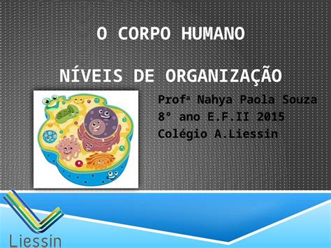 PPTX O CORPO HUMANO NÍVEIS DE ORGANIZAÇÃO Prof a Nahya Paola Souza 8