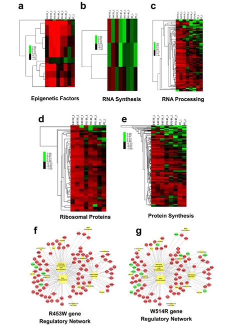 Assessment Of Individual Dysregulated Go Categories Related To Gene