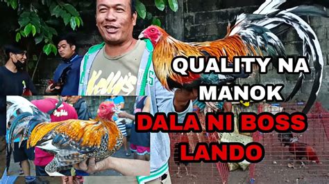 QUALITY NA MANOK DALA NI BOSS LANDO DITO SA GROTTO PET MARKET UBOS