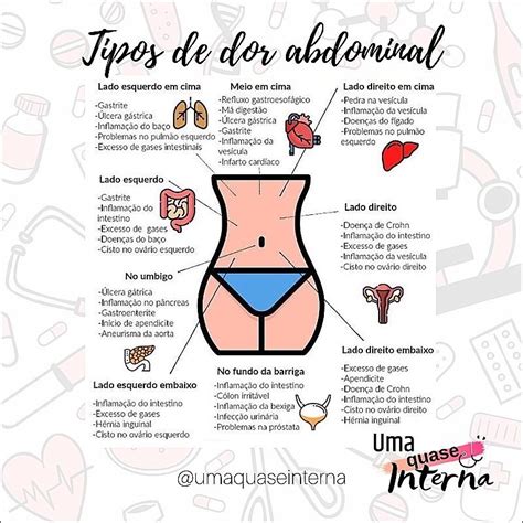 Mapas Mentais Sobre Abdominal Study Maps