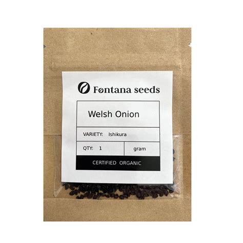 Organic Welsh Onion Ishikura Long White Seeds | Fontana Seeds
