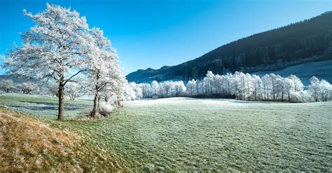 Meteo Possibile Ritorno Del Freddo Artico Giuliacci Ci Gela Su