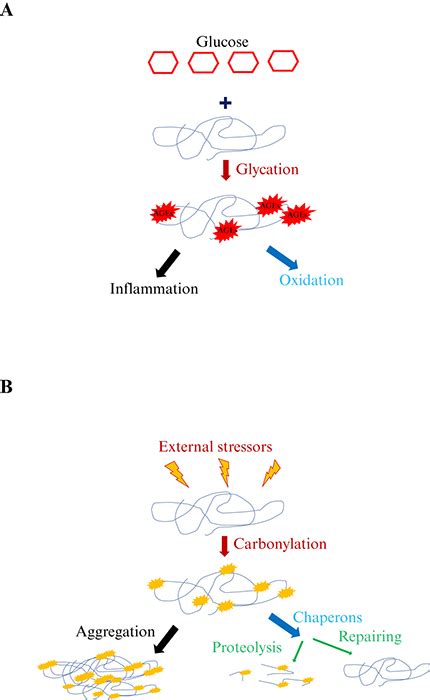 JLE European Journal Of Dermatology Beyond The Genome Protecting