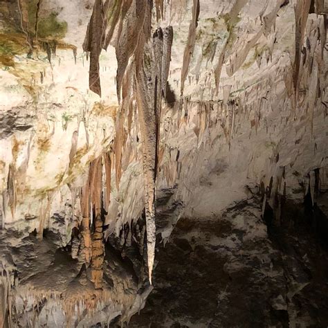 Grottes De Postojna Et Visite Du Ch Teau De Predjama Au D Part De