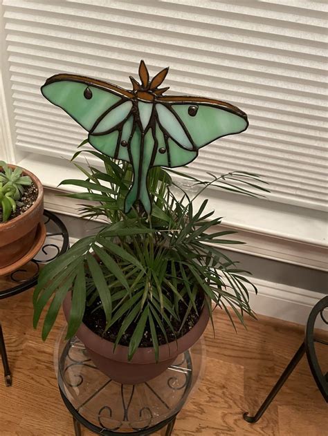 Luna Moth Garden Stake In Stain Glas Garden Stakes Garden Plants