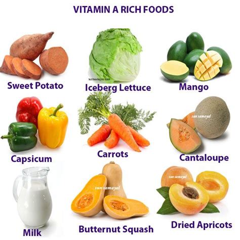 Fruits And Vegetables Vitamin A - Taka Vegetable