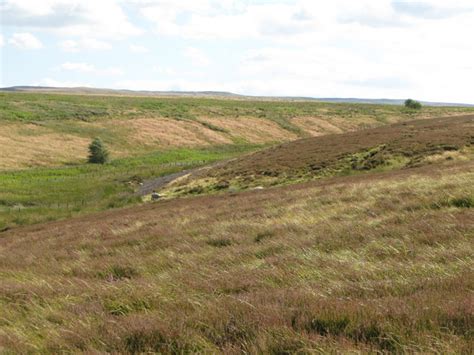 Black Cleugh © Mike Quinn Cc By Sa20 Geograph Britain And Ireland