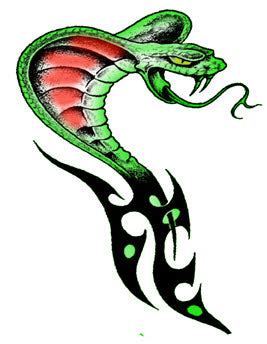 Tatuagens Cobra Verde – Tattoo for a week
