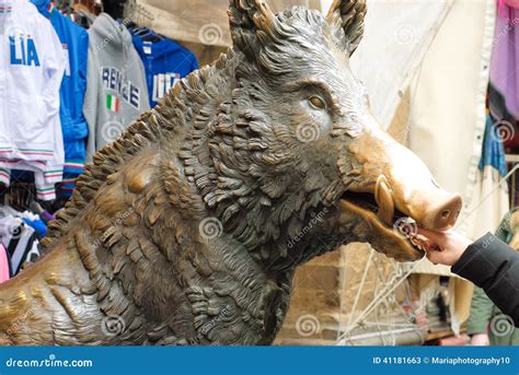 Il Porcellino Wild Boar Statue Sydney Hospital Australia Editorial ...