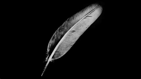 Cigarettes After Sex Affection Suggestions RuiCardology