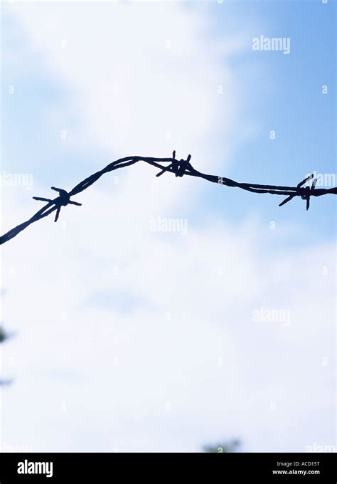 Captured barbed wire hi-res stock photography and images - Alamy