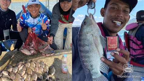 Pesta Strike MANCING IKAN NILA Spot Viral Di Belakang Keramba Haji