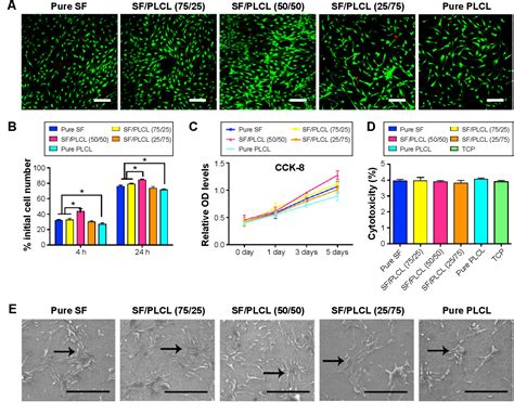 Figure 1 from Electrospun silk fibroin poly lactide co ε caprolactone