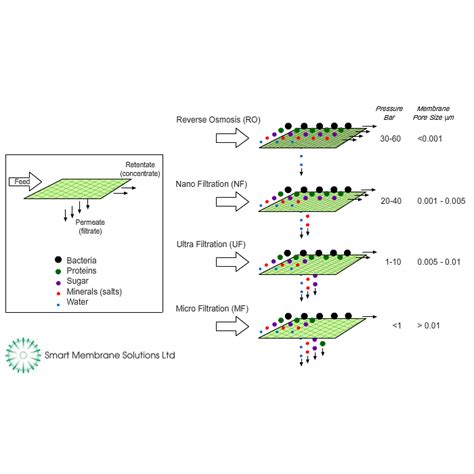 Membrane Classifications Smart Membrane Solutions Your Specialist