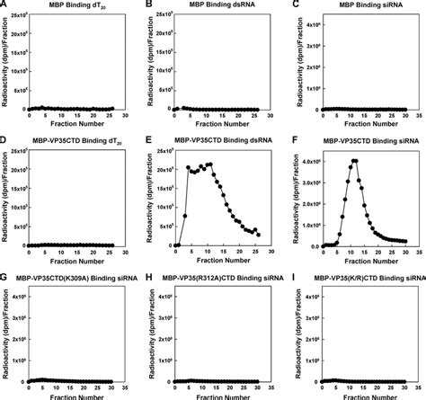 Rna Binding By The C Terminal Domain Of Wild Type And Mutant Vp