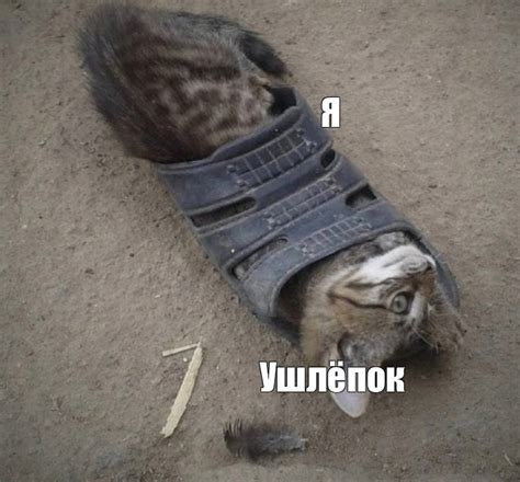 Создать мем "тапки коты, кот насрал в тапки, кот в ботинках" - Картинки ...