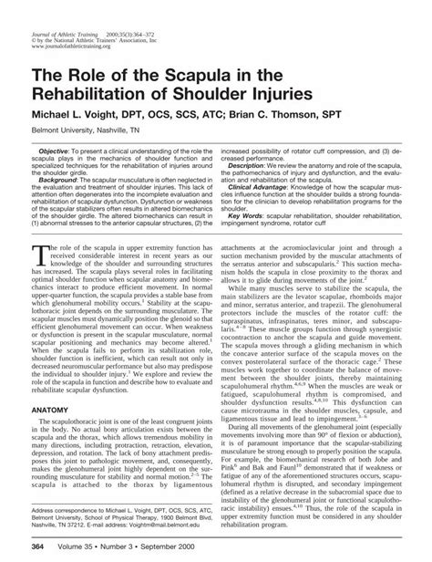 Pdf The Role Of The Scapula In The Rehabilitation Of Shoulder Injuries Dokumen Tips