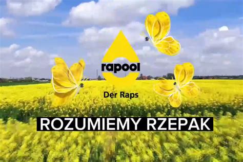 Rozumiemy rzepak Odmiany rzepaku ozimego dostosowane do zmieniających