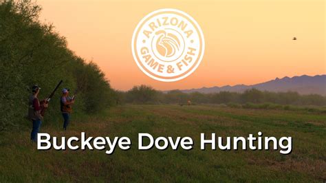 Dove Hunting In Buckeye Arizona Youtube