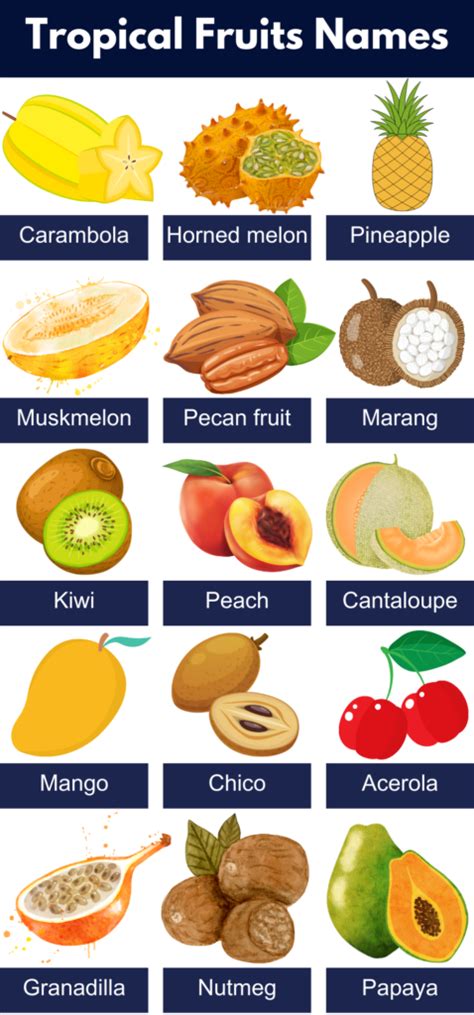 List of All Tropical Fruits Name, Pictures, PDF - GrammarVocab