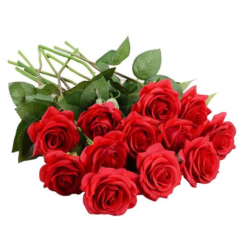 Descubra Kuva La Rose Rouge Fleuriste Thptnganamst Edu Vn